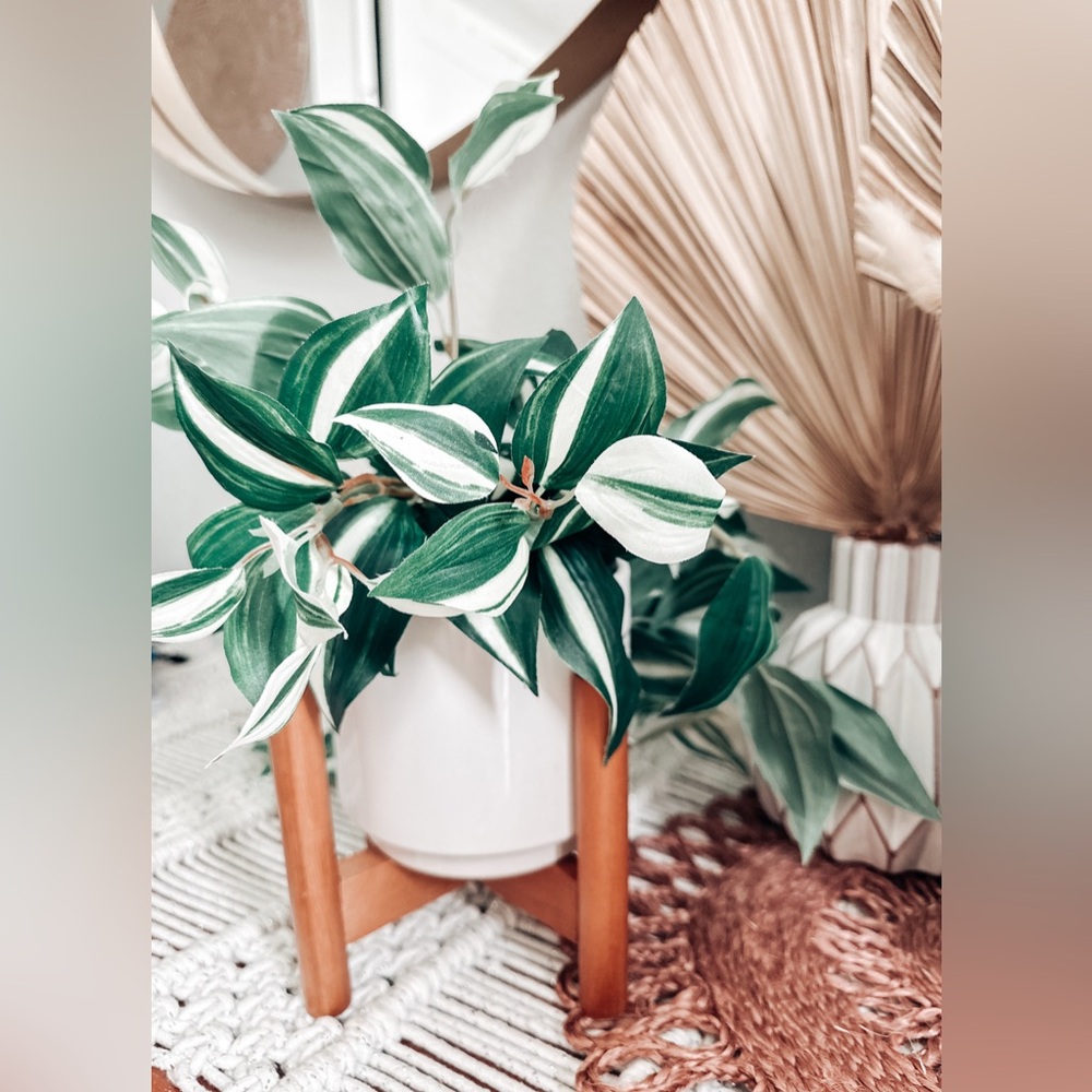 Pottery Barn Artificial Wandering Variegated Plant minimalist Boho Decor - Picture 4 of 7